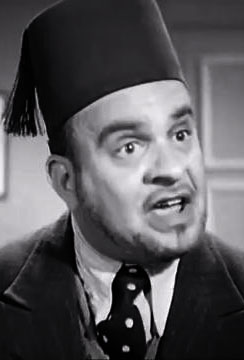 فوزي الجزايرلي