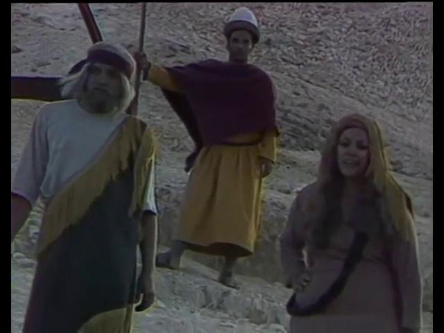نهير أمين