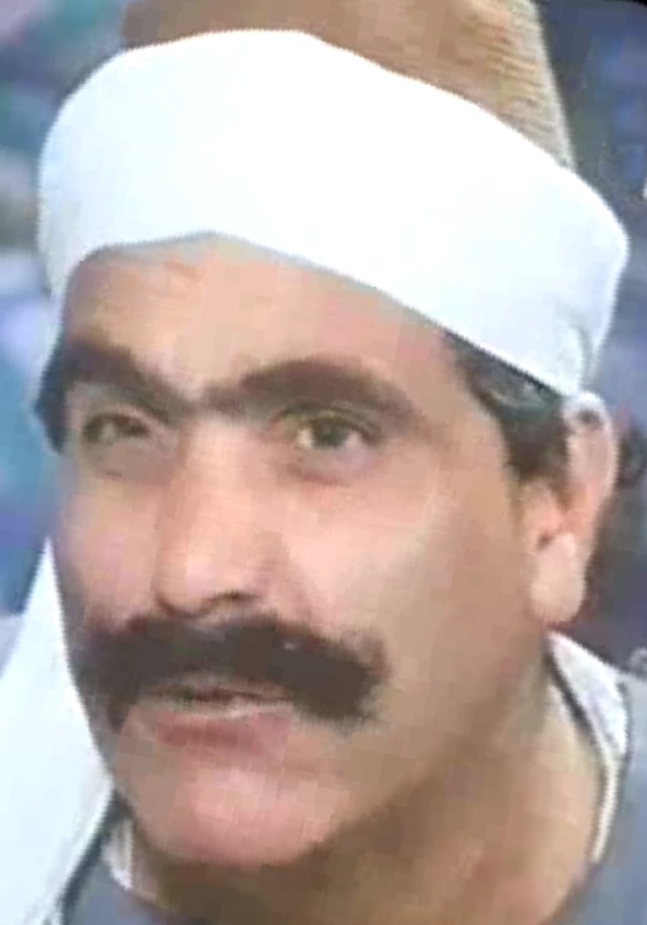 محمود الحفناوي