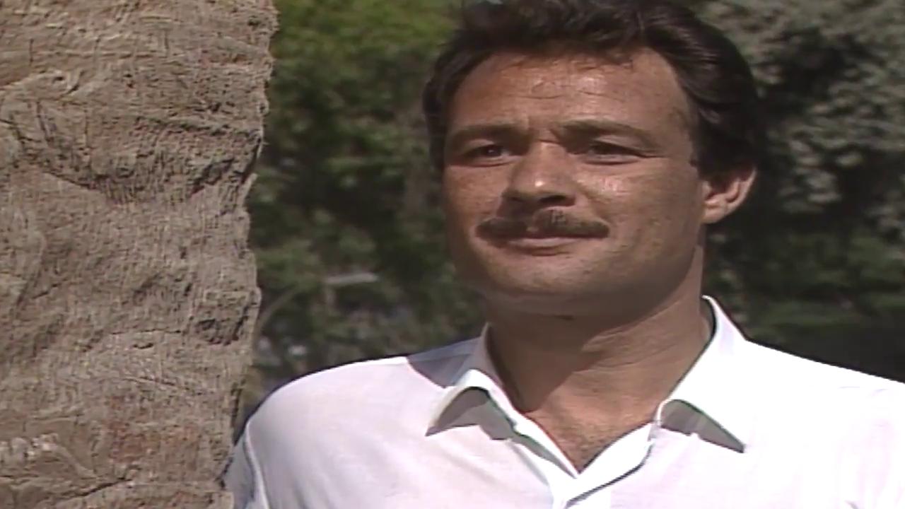 فاروق الفيشاوي