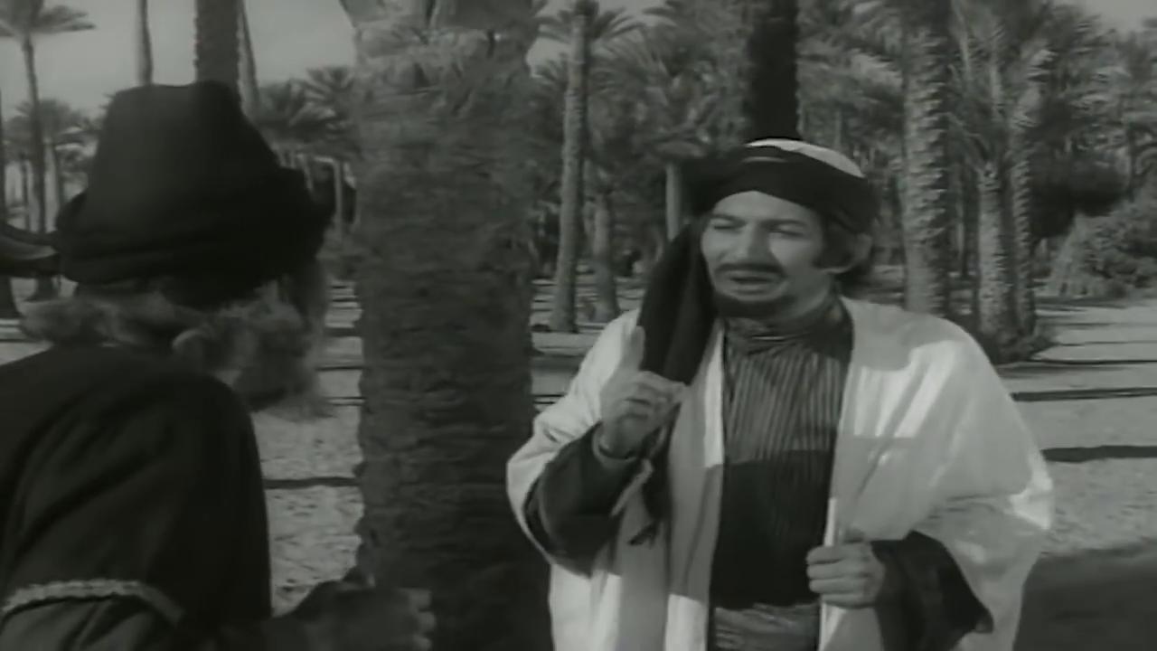 galal tawfiq