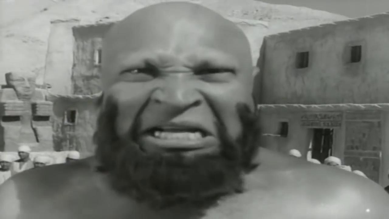 نصر سيف