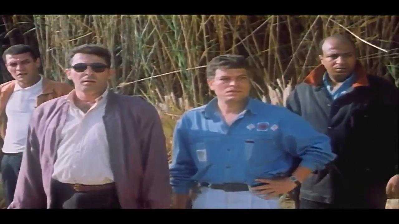mahmoud hemeida - hamdy haikal