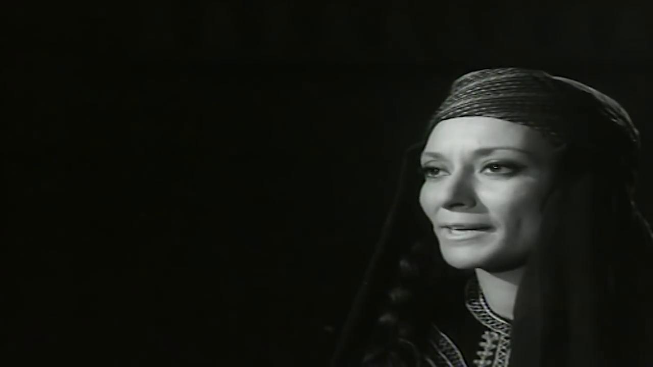mohsena tawfiq