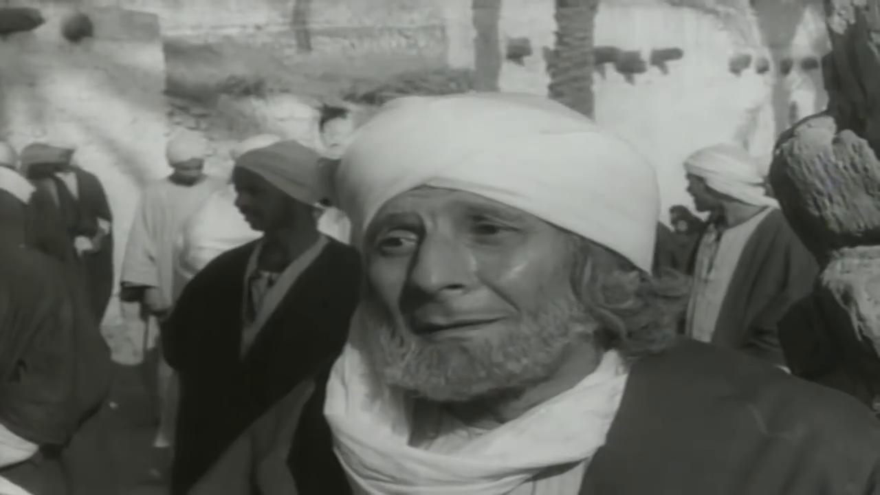 hafez amin