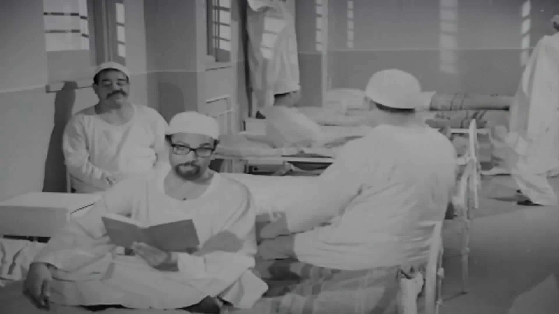 محمد شوقي