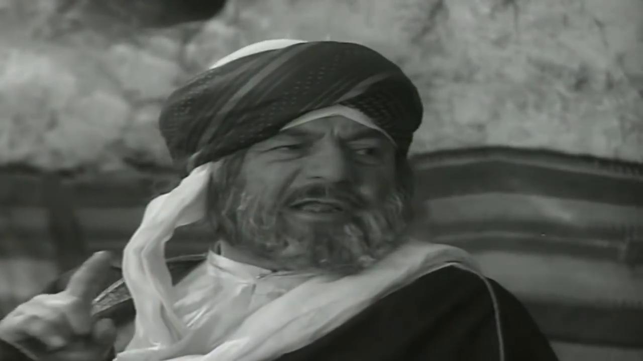 rashad hamed
