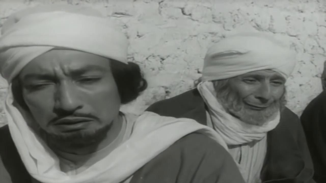 hafez amin