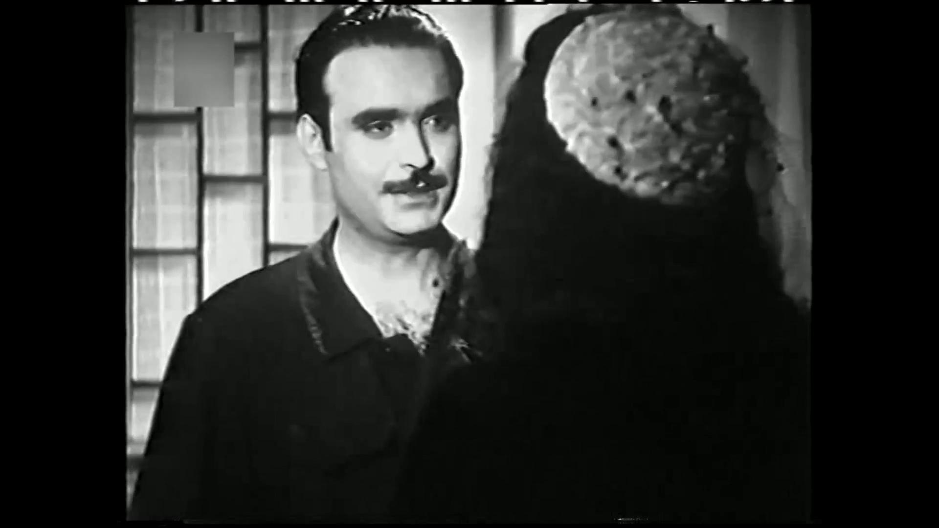 محمود ذو الفقار