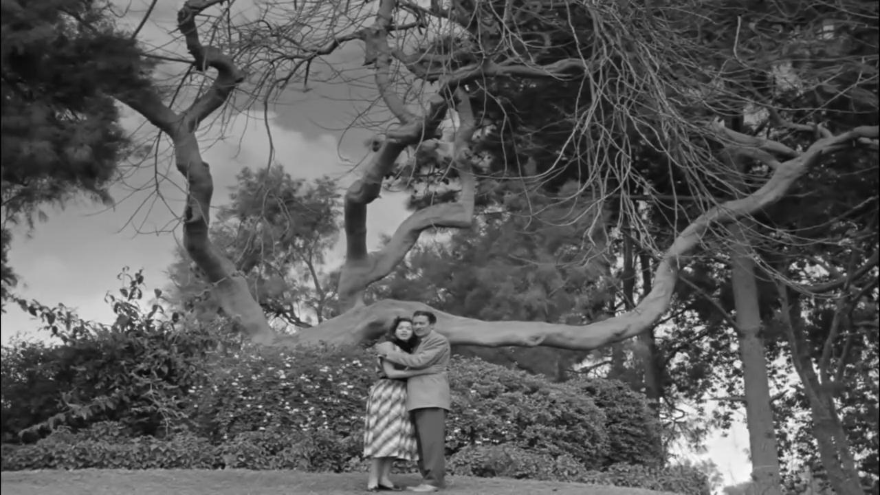 عماد حمدي - سامية جمال