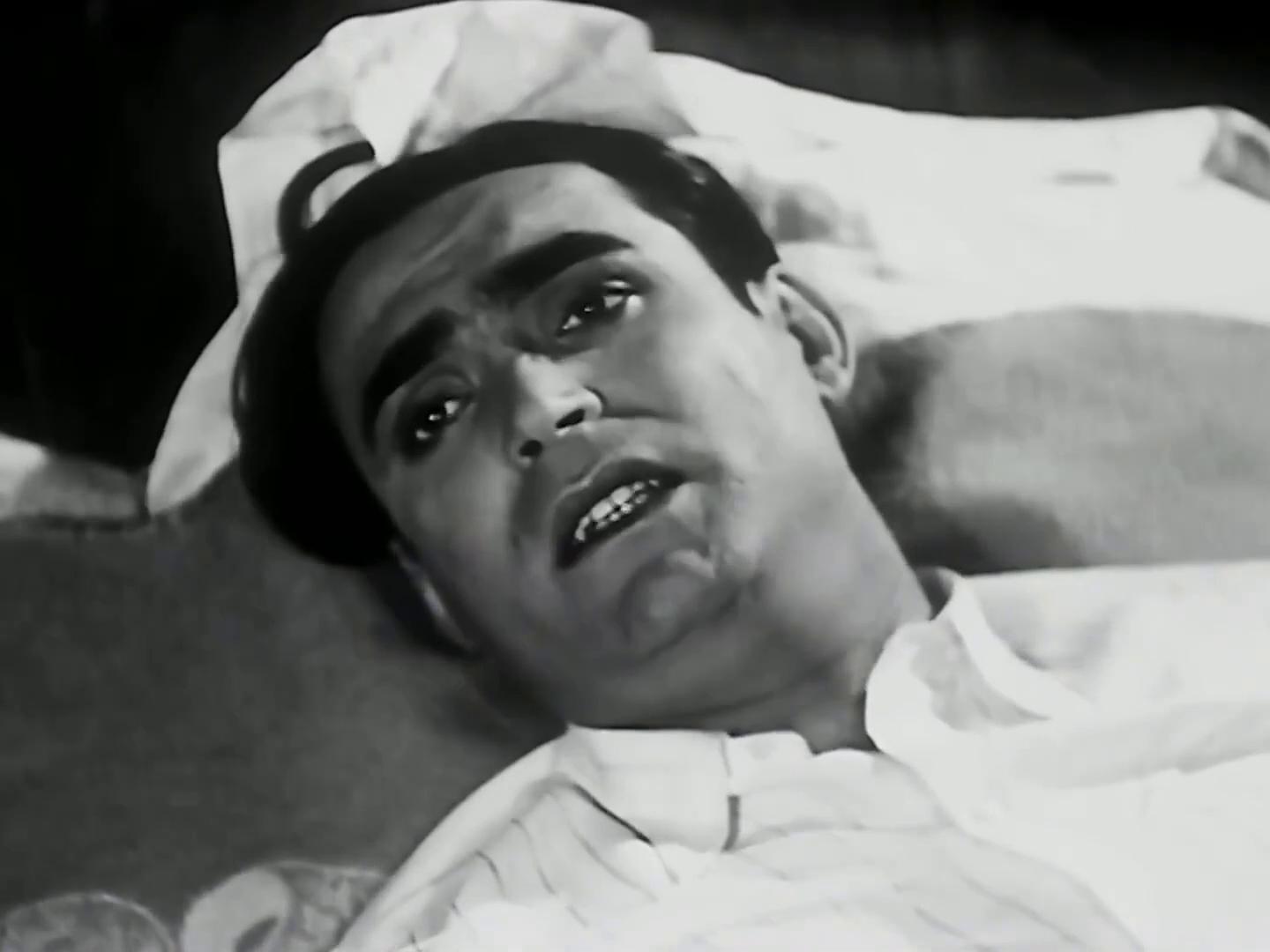 محمود ذو الفقار