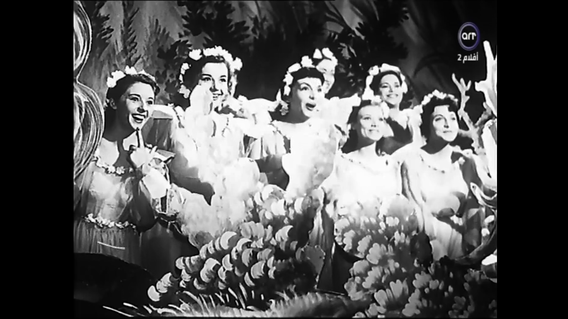 Amina Al-Saied
	  	 	 - Ellen Diato