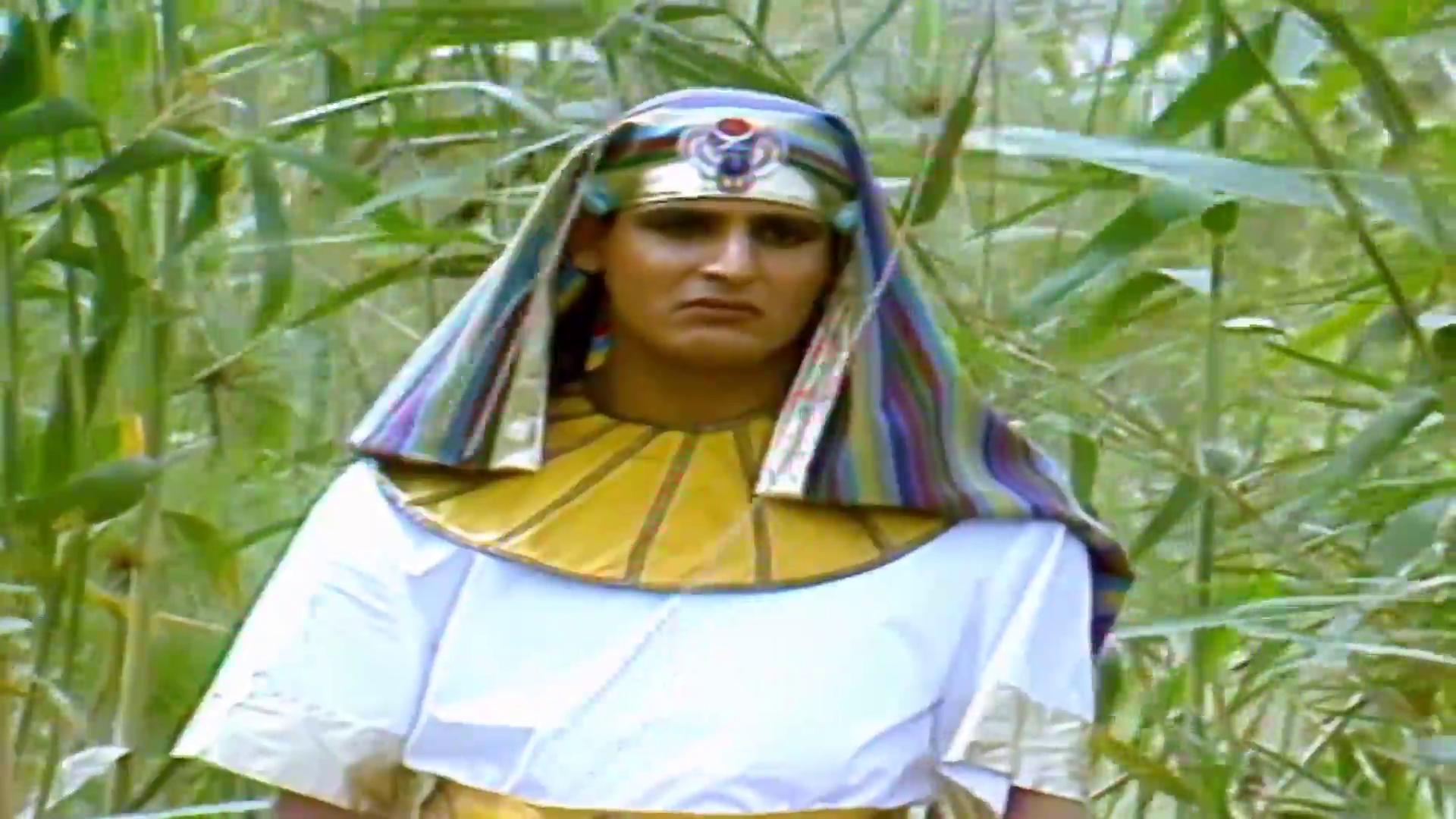 Ashraf Tolba
