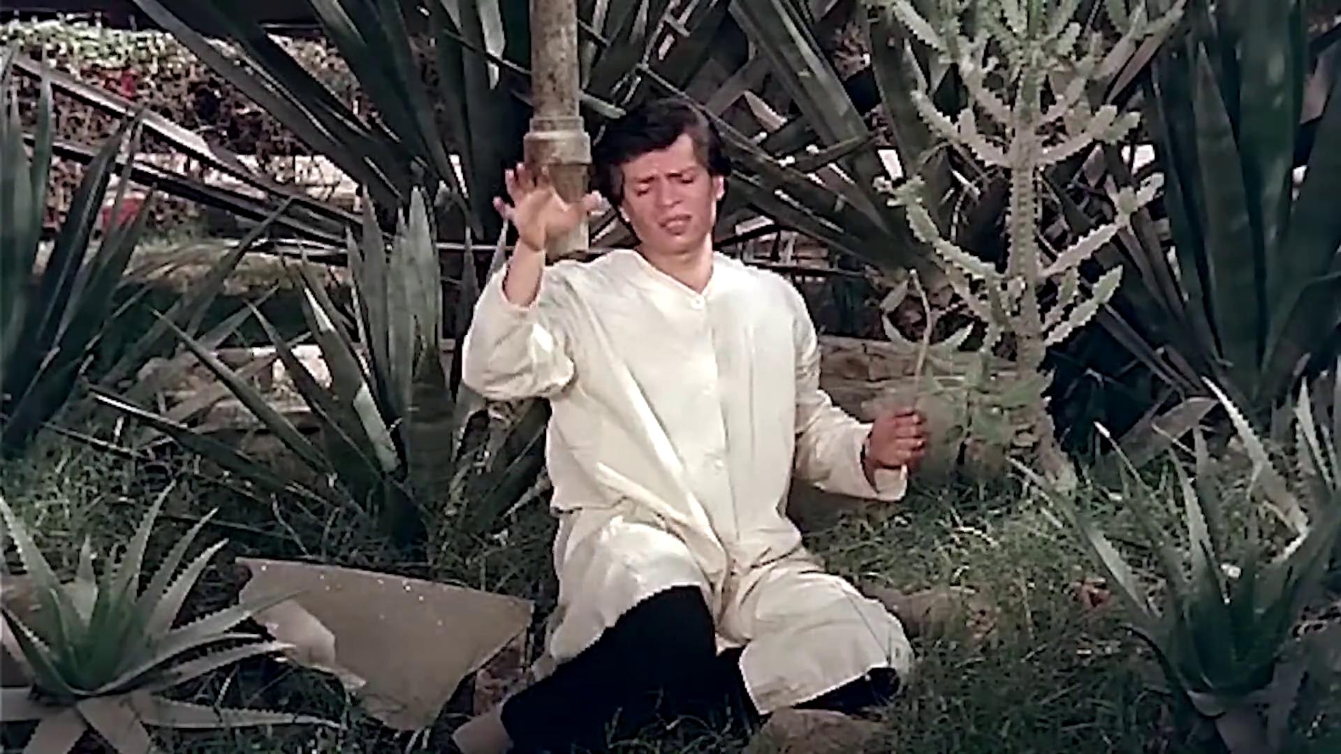 محمد أبو الحسن