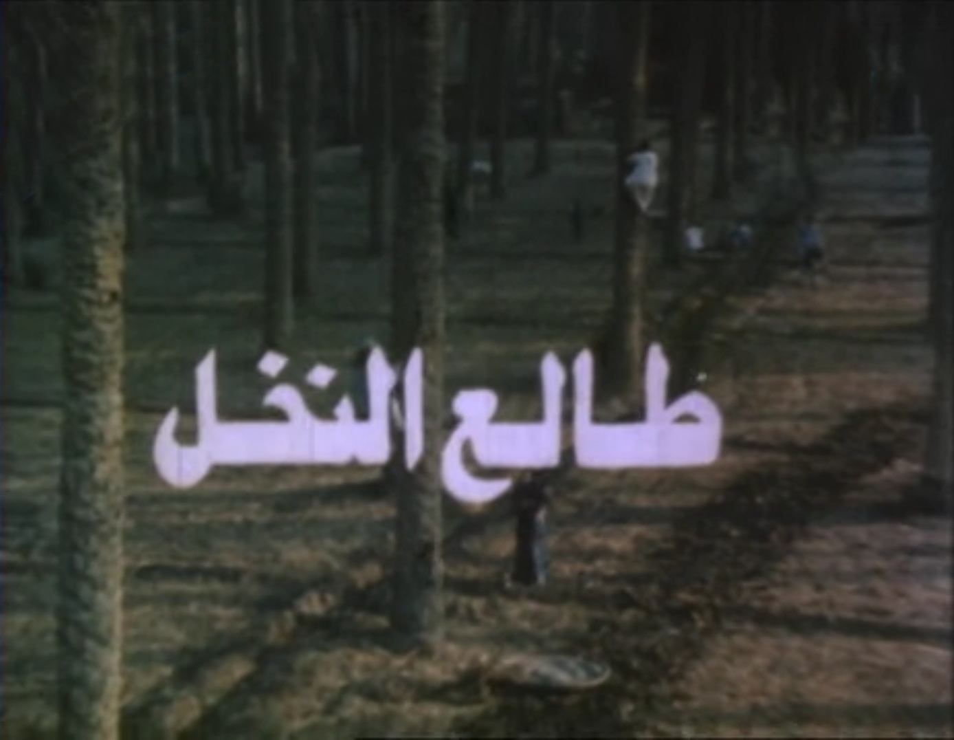 فيلم طالع النخل