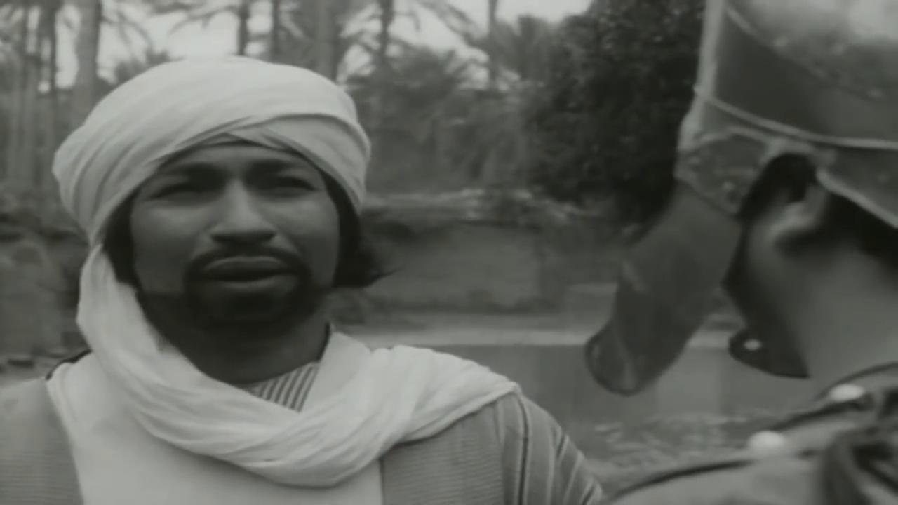 mohey el-din abdel-mohsen