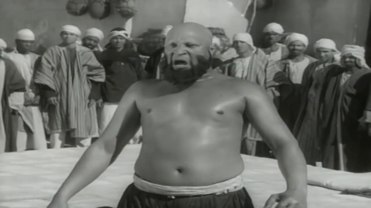 نصر سيف