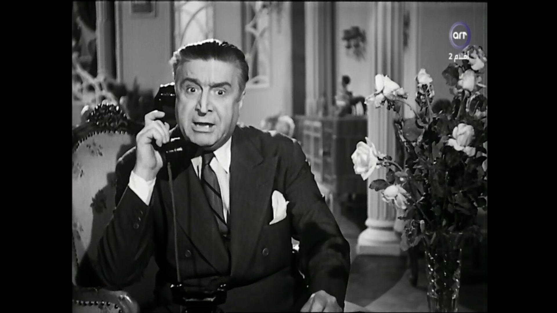 سليمان نجيب