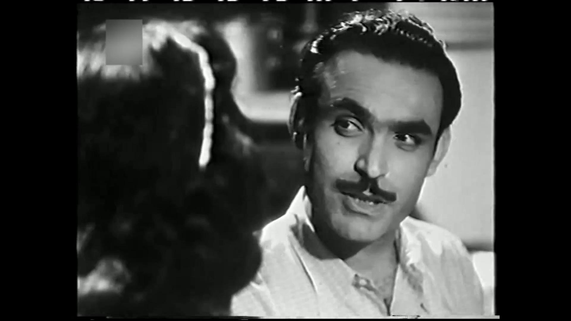 محمود ذو الفقار