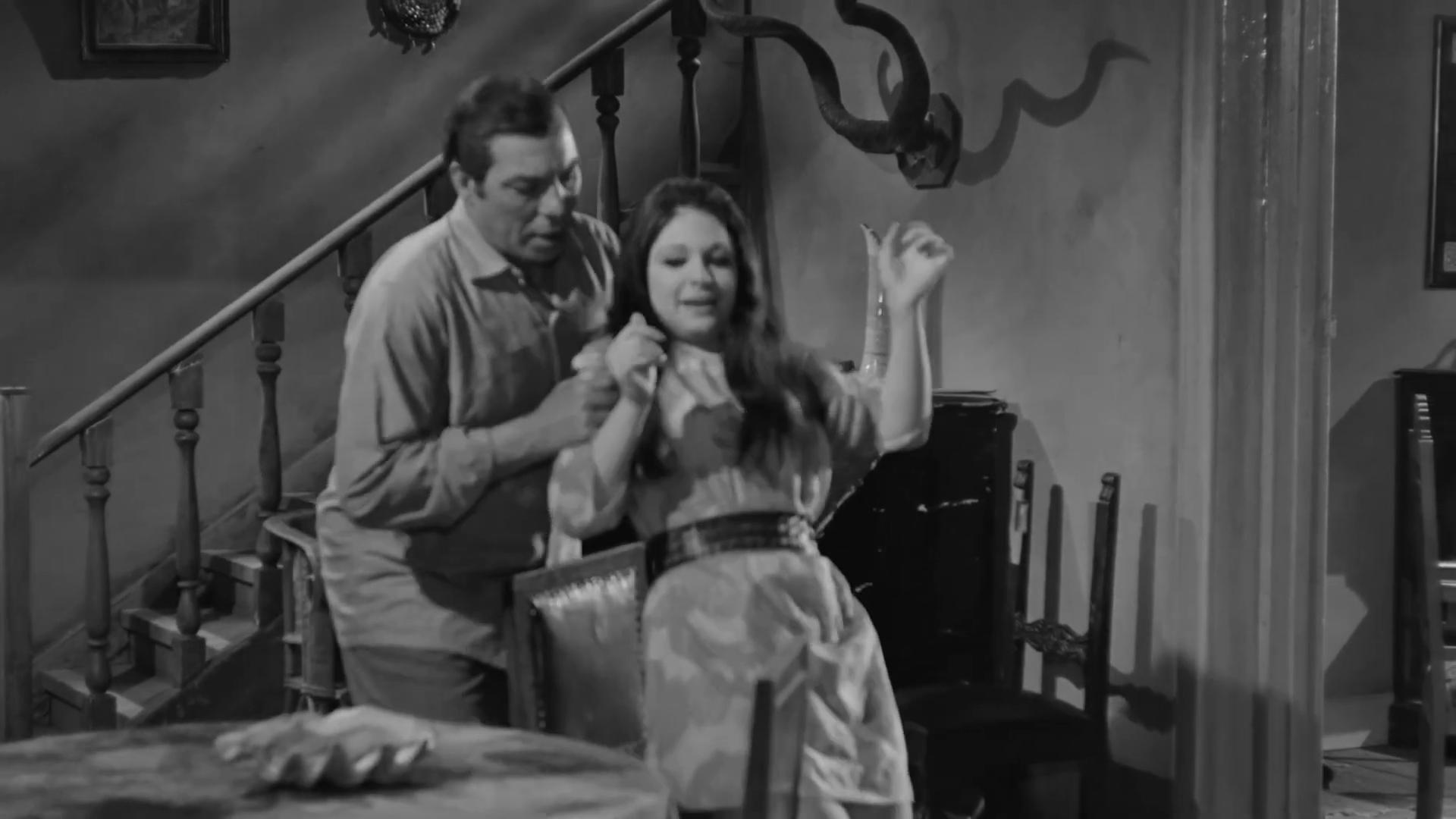 Nelly
	  	 	 - Farid Shawqi