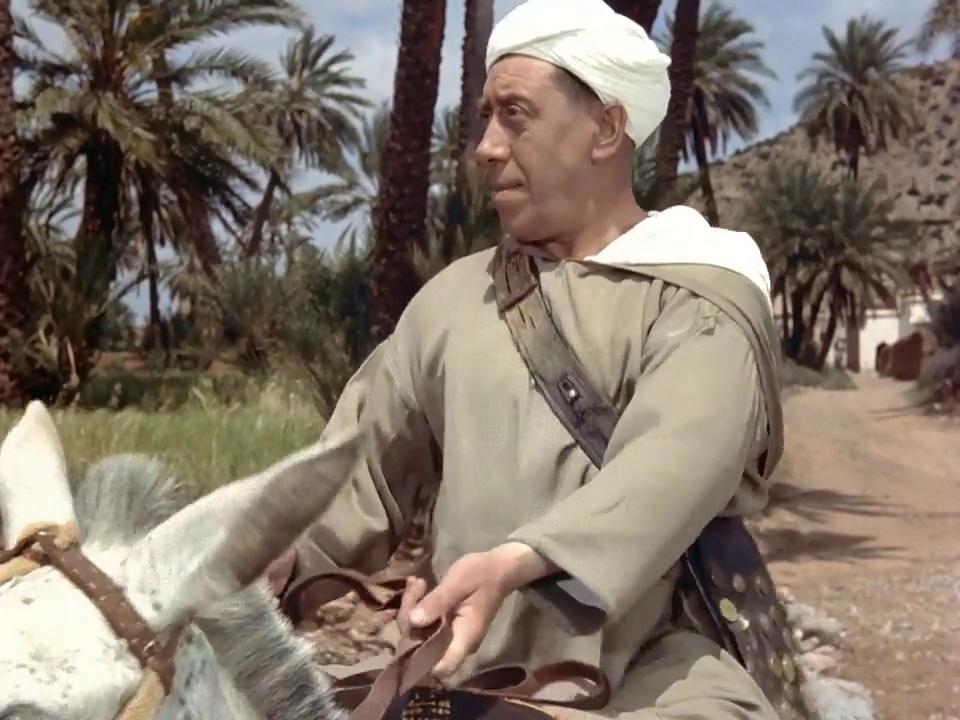 فرناندل