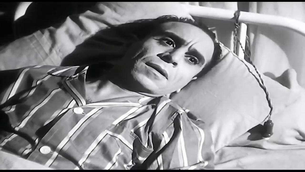 سعيد أبو بكر