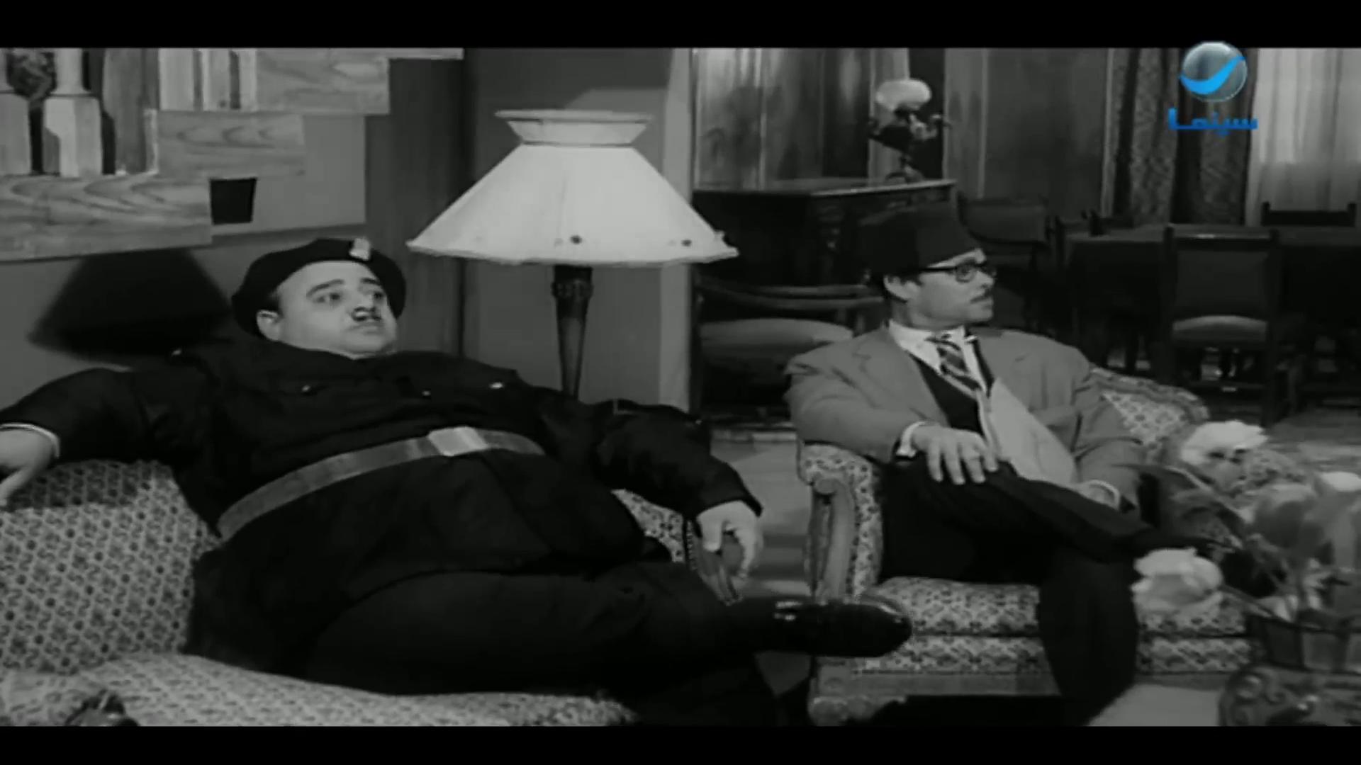 محمد شوقي - سيد إبراهيم