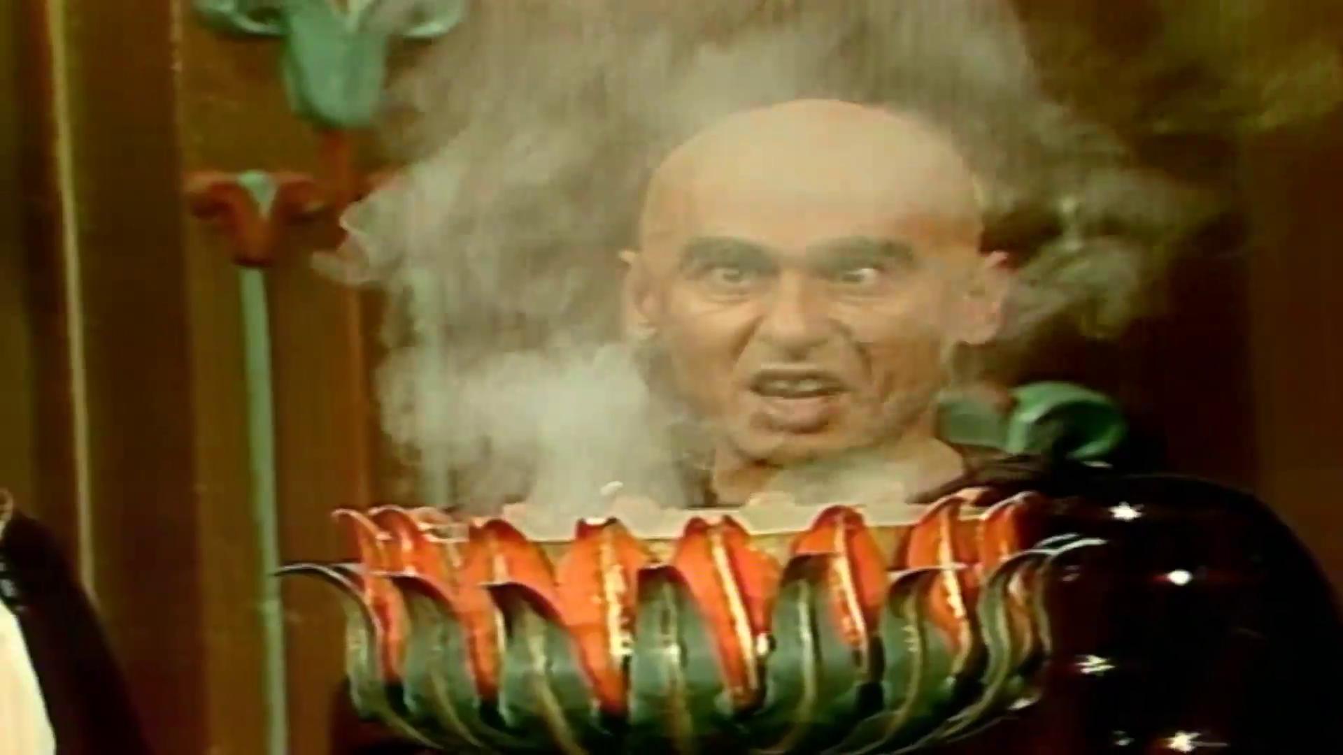 عبد الهادي أنور