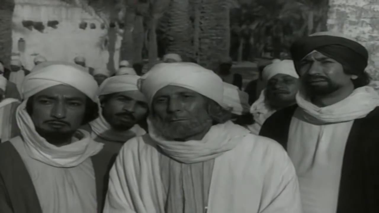 mohey el-din abdel-mohsen - hafez amin