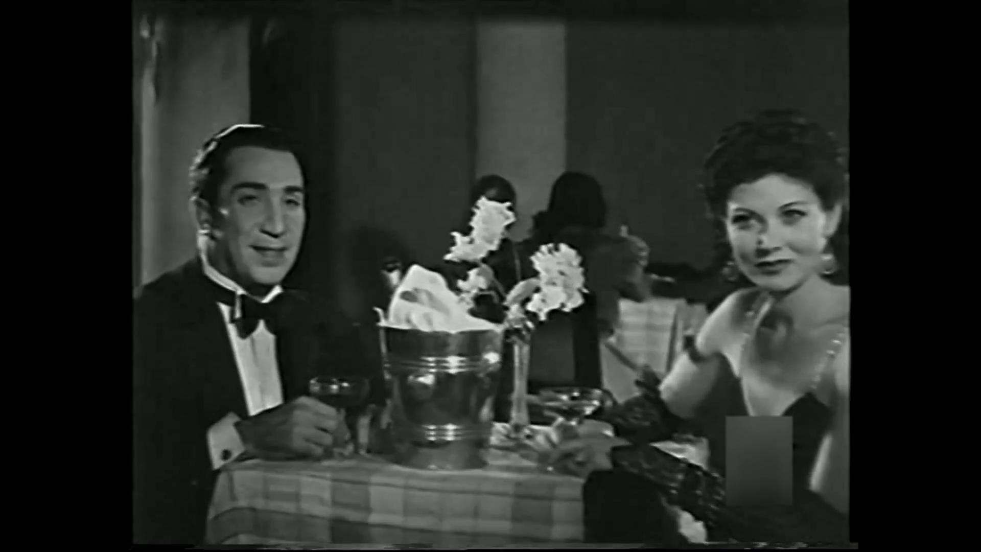 Raqia Ibrahim
	  	 	 - Youssef Wahby