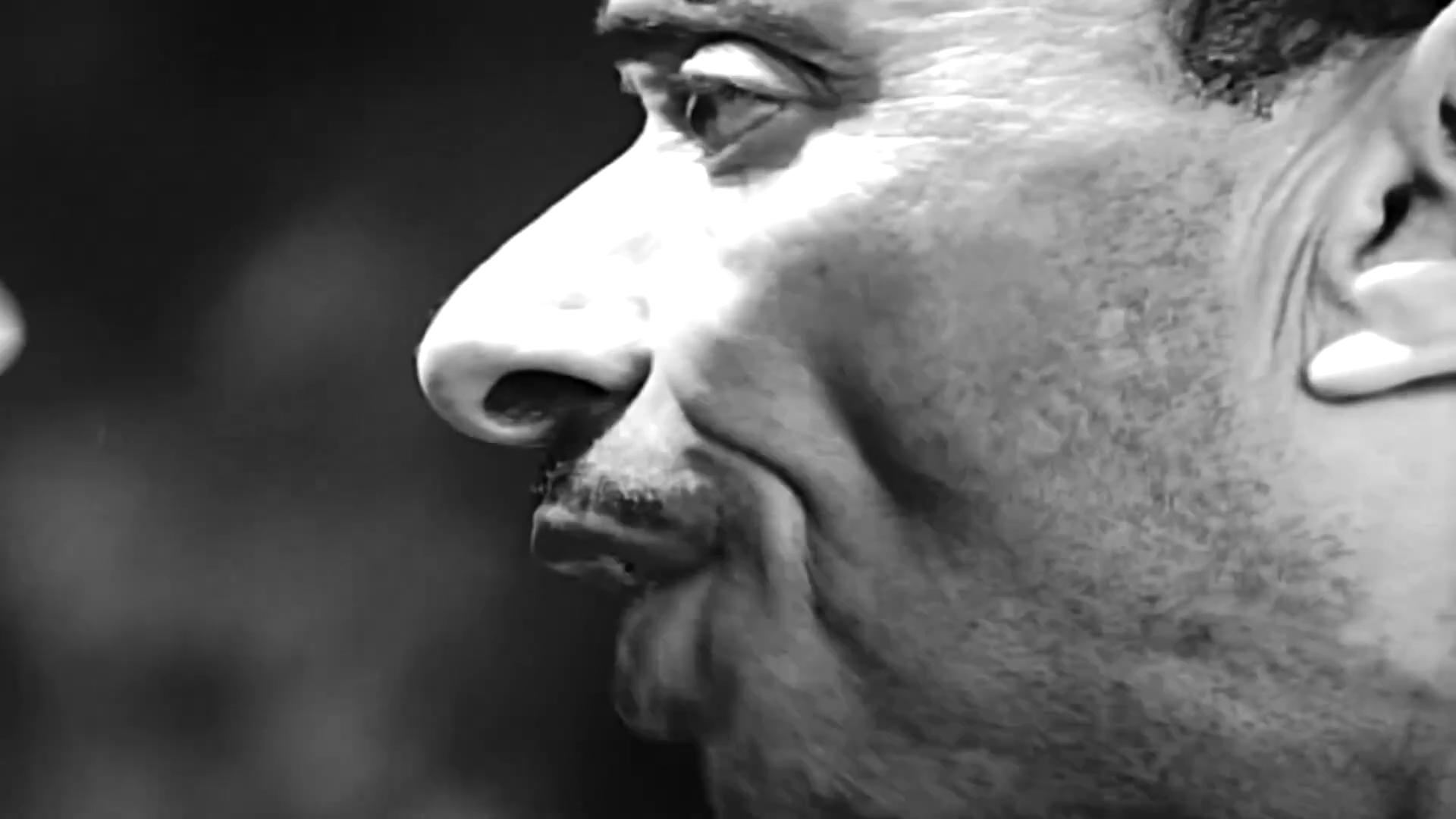 محمود كامل