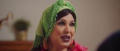 مسلسل: شغل في العالي: فيفي عبده