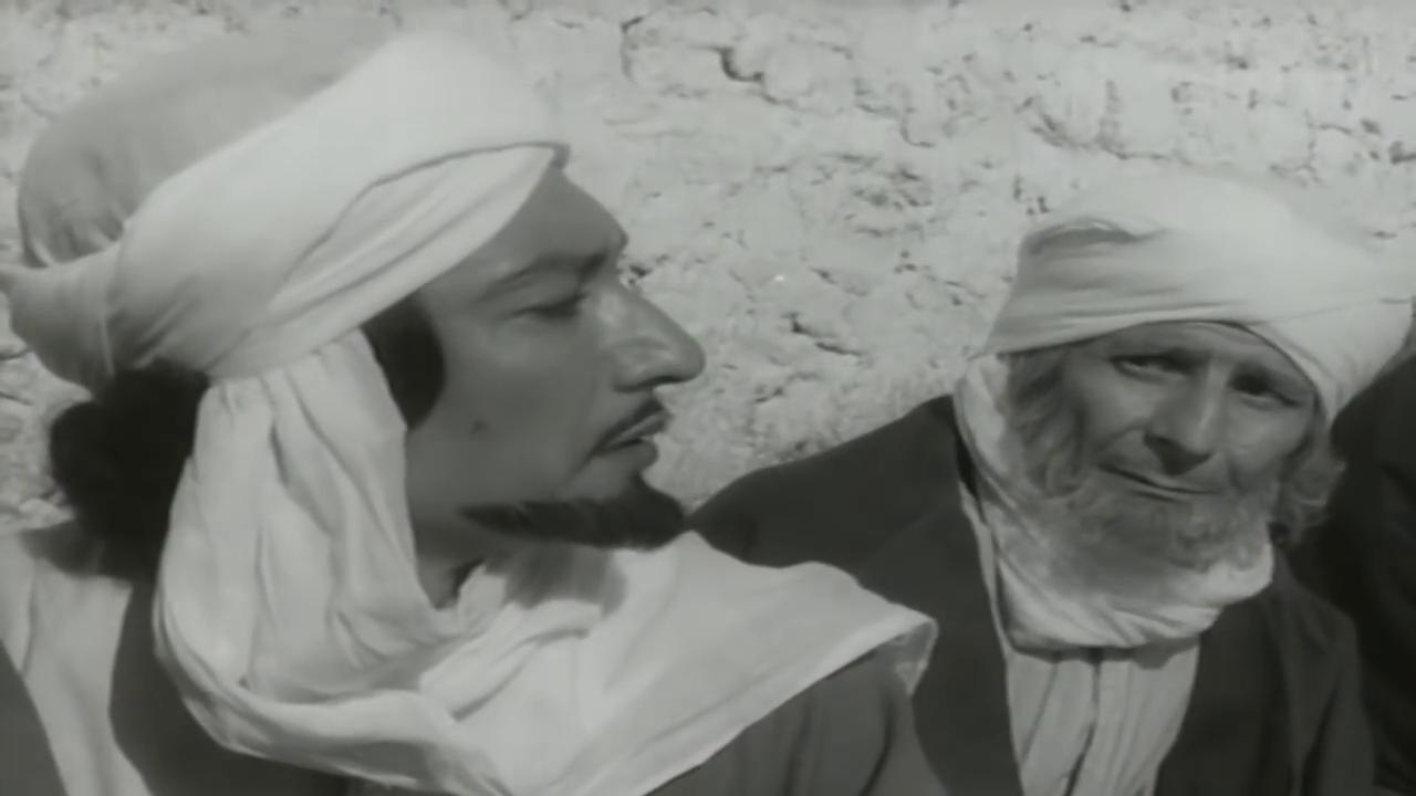 hafez amin
