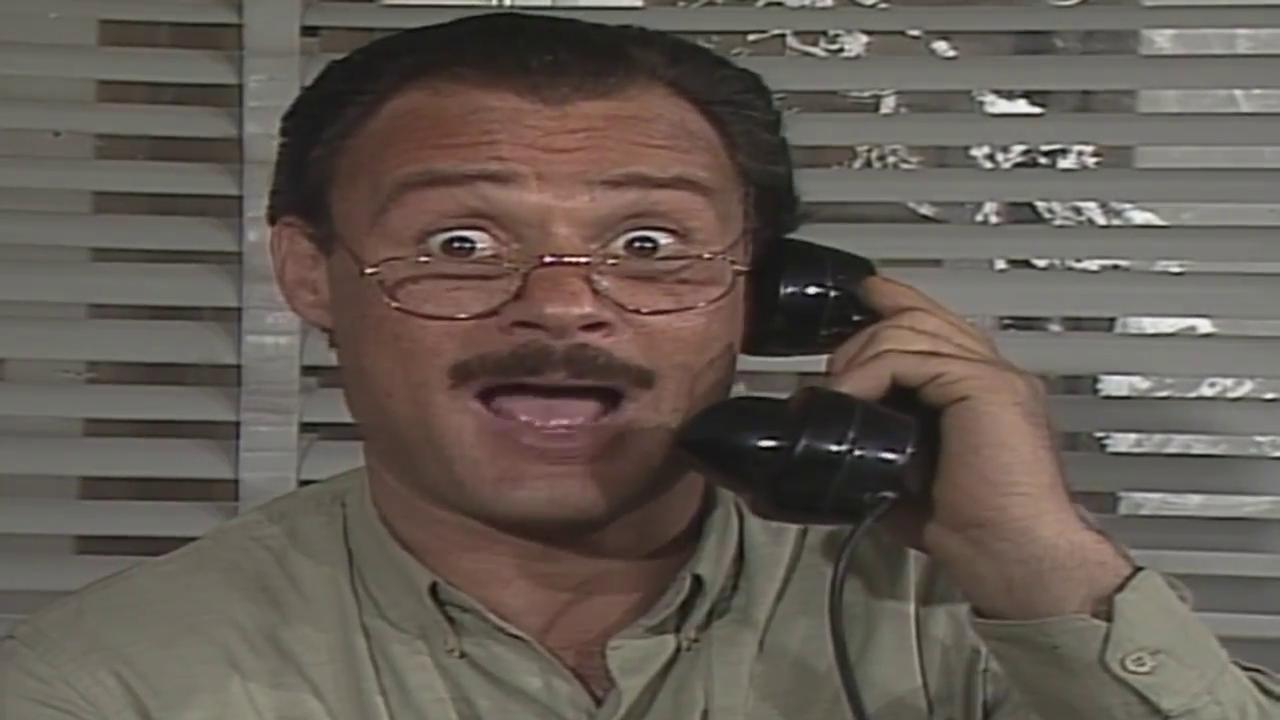 فاروق الفيشاوي