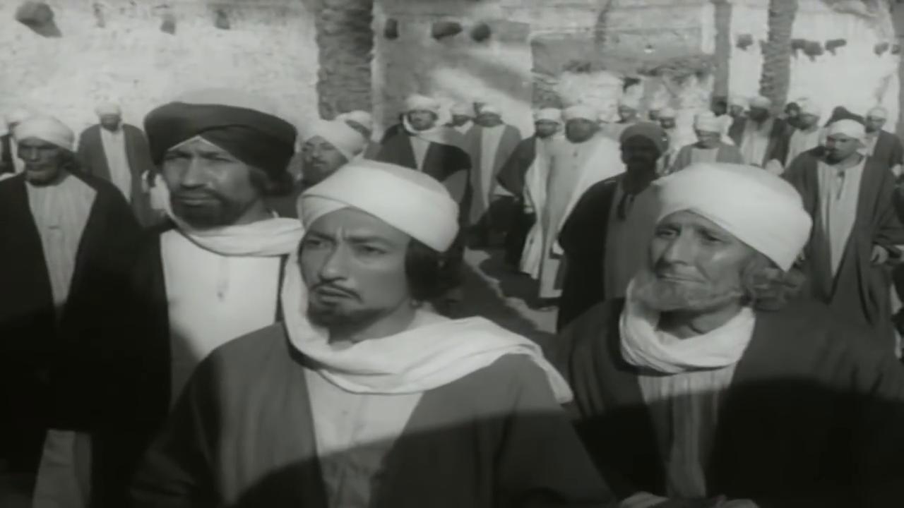 hafez amin - mohey el-din abdel-mohsen