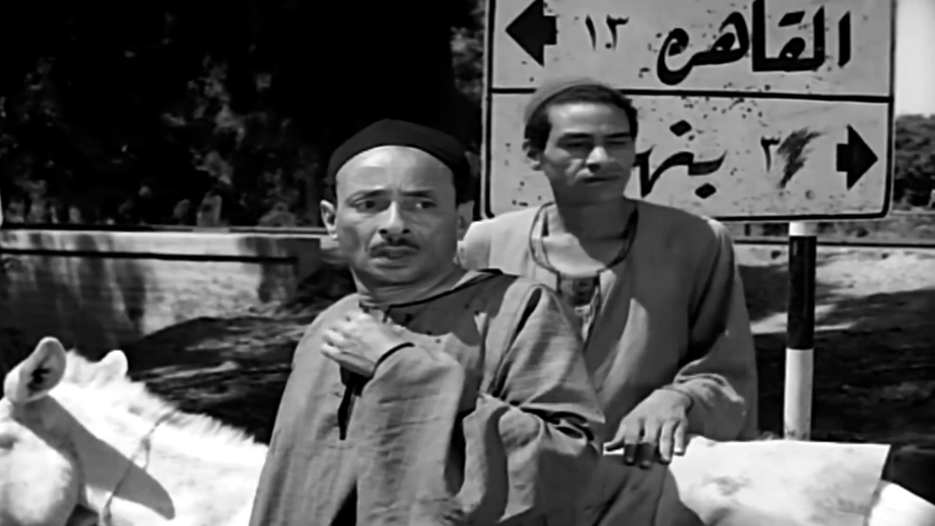 محمود كامل