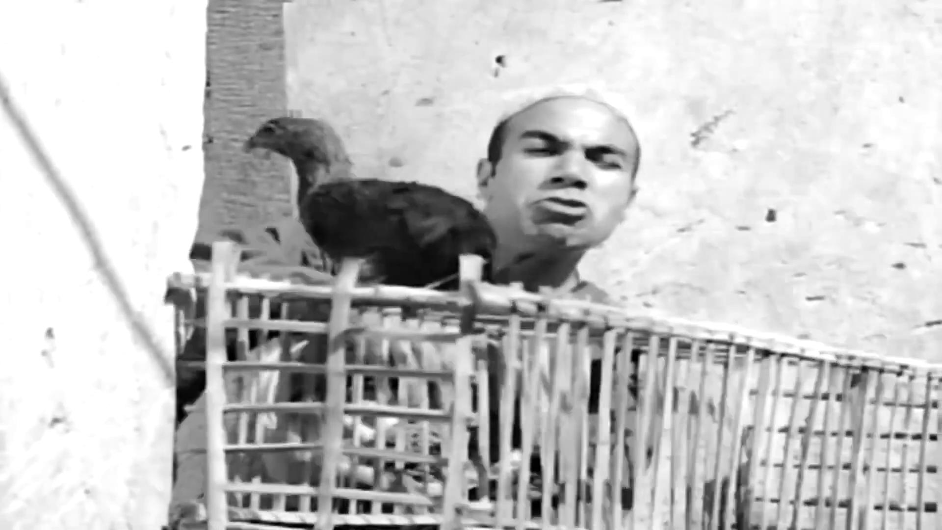 Mahmoud Al-Touny