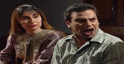 مسلسل: يوميات ونيس 5: شوقي طنطاوي - جميلة عزيز
