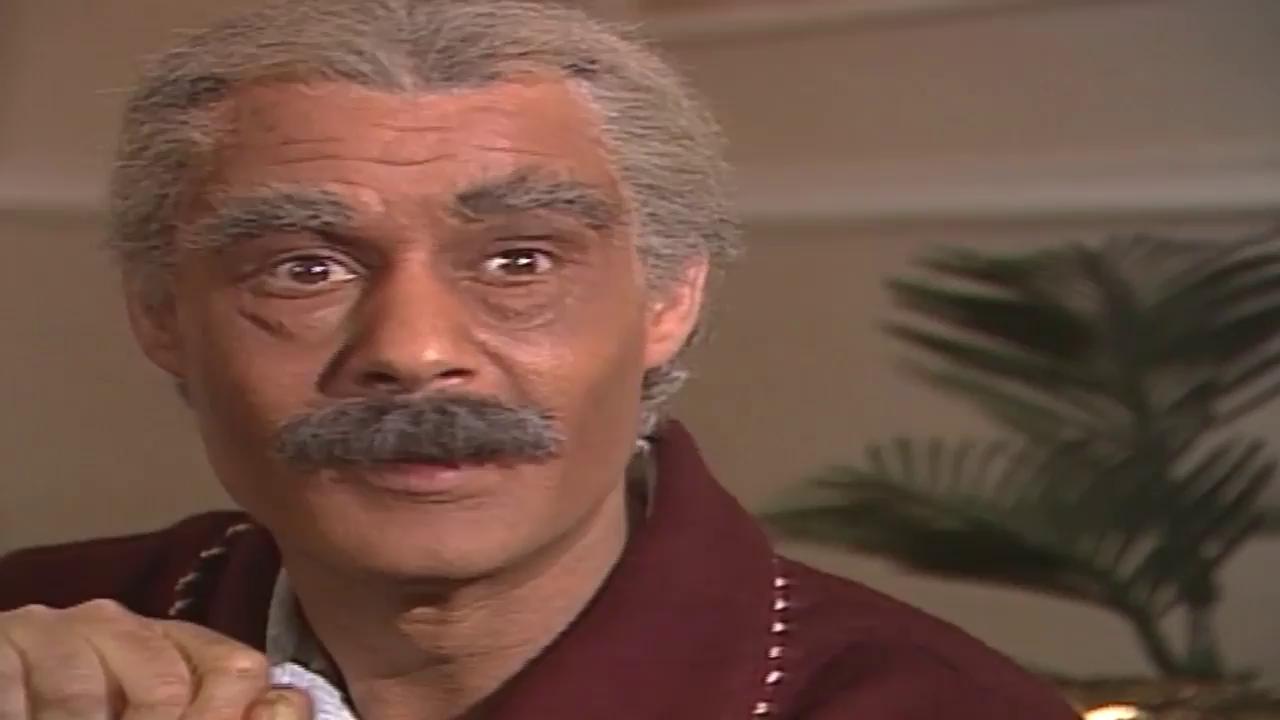 فاروق الفيشاوي