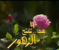 مسلسل غدًا تتفتح الزهور