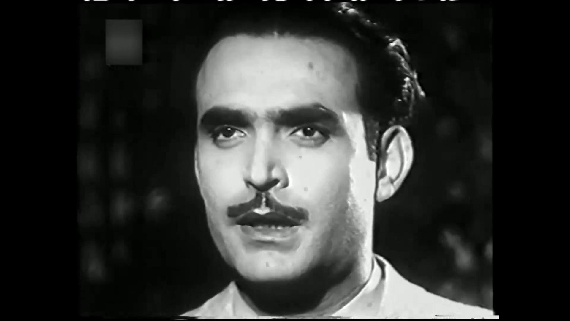 محمود ذو الفقار