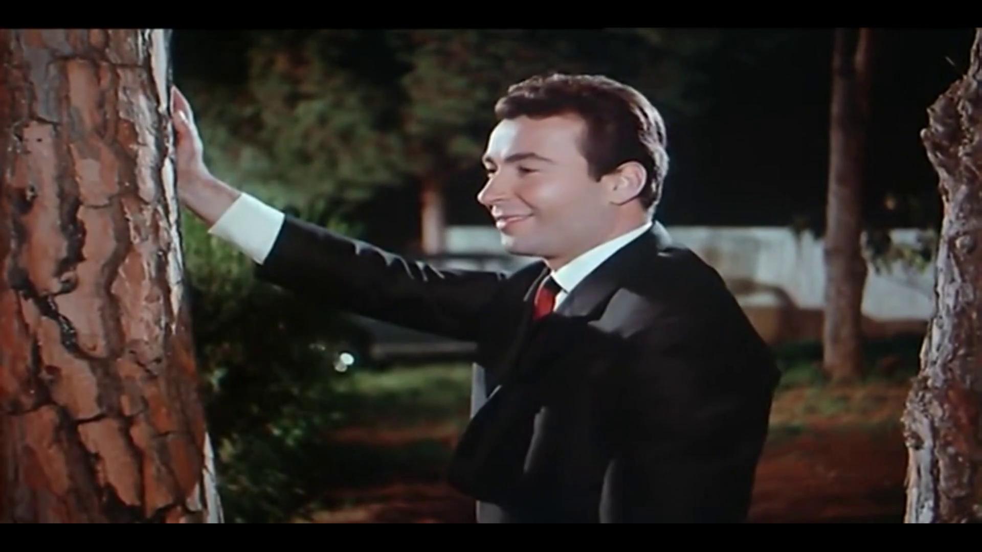 صفوح الشربجي