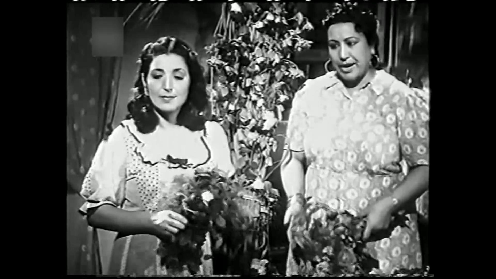 Fardous Muhammad
	  	 	 - Aziza Amir