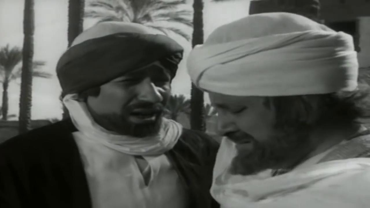 mohey el-din abdel-mohsen