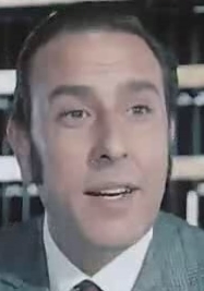 حسن أنيس