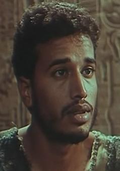 مصطفى صبحي