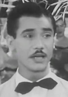 عادل مأمون (1)