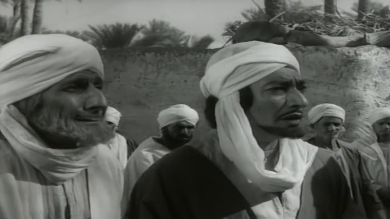 hafez amin
