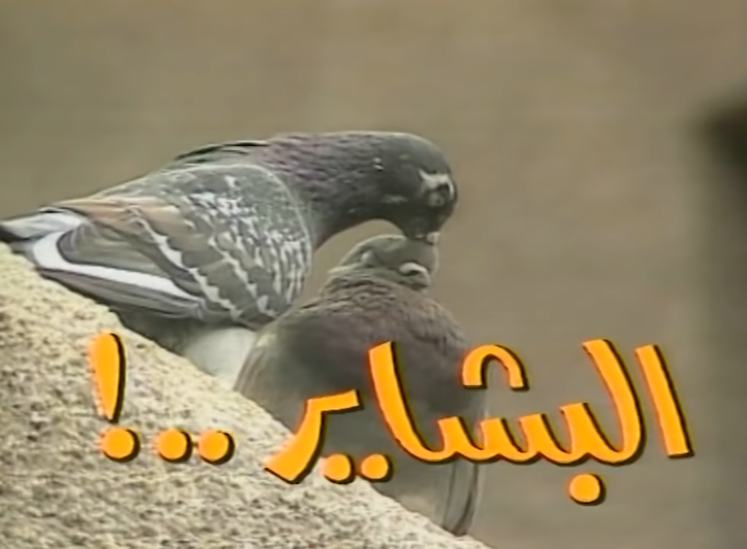 مسلسل البشاير