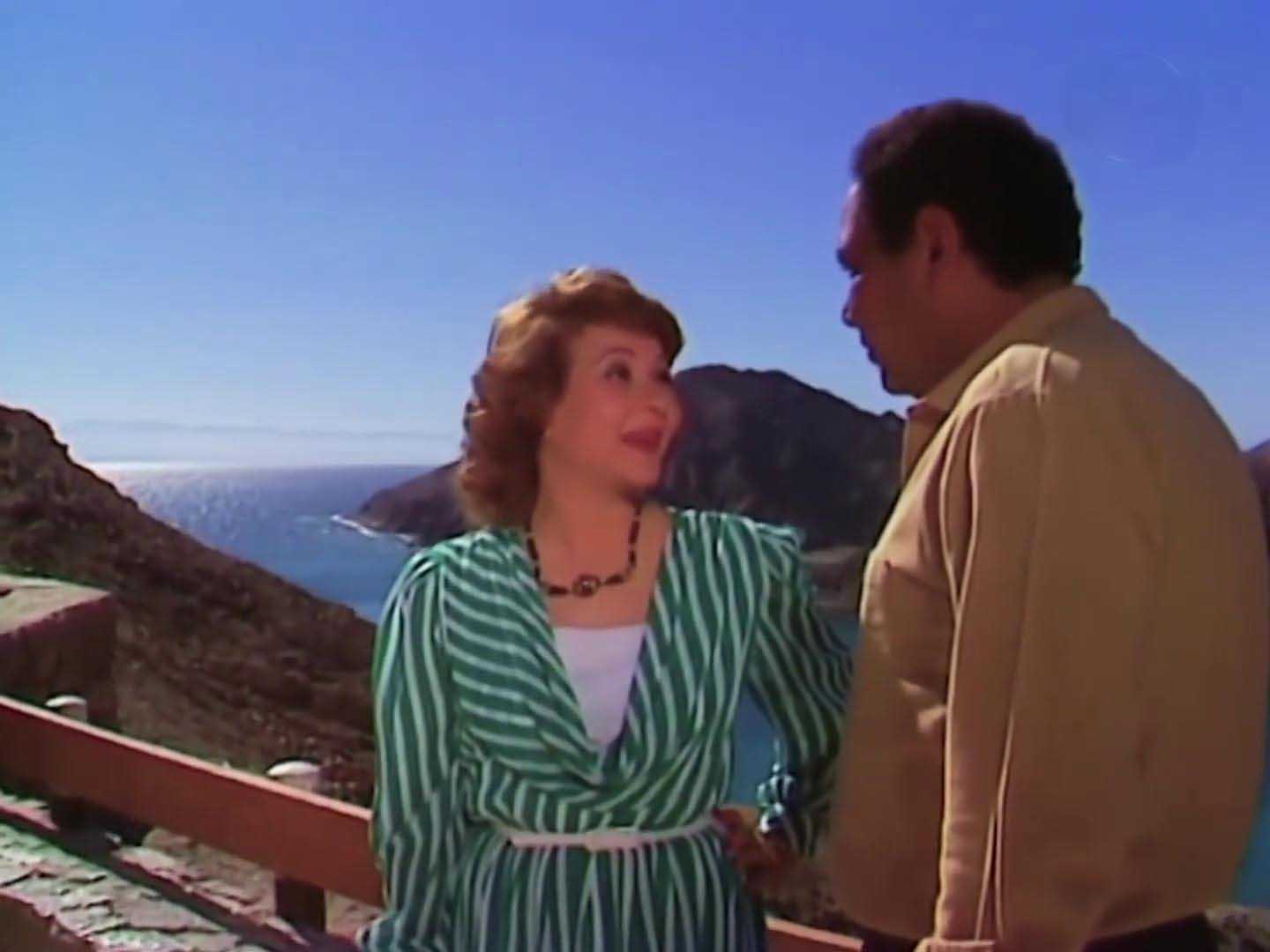 هناء الشوربجي